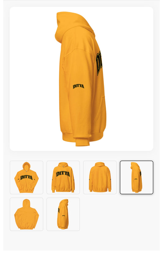 Ditta DTG Premium Hoodie